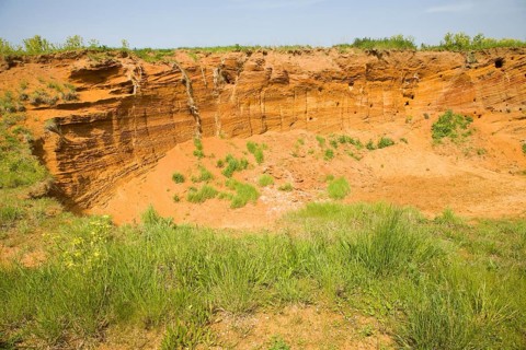 Red crag rock exposed at Buckanay Pit quarry, Alderton, Suffolk, England, United Kingdom, Europe