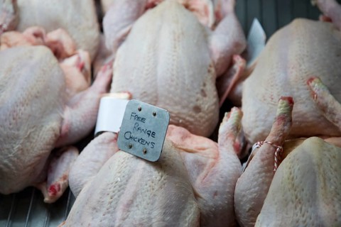 Free range chickens high quality food on display at Suffolk Food Hall, Wherstead, Suffolk, England,