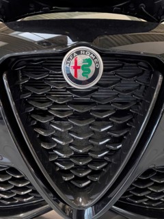 Radiator grille Scudetto with coat of arms emblem Logo of Alfa Romeo with parts of coat of arms of
