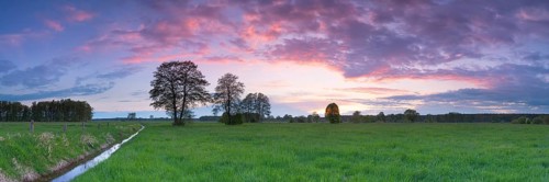 Sunset over a meadow landscape with ditch and trees, panorama, landscape photography, nature