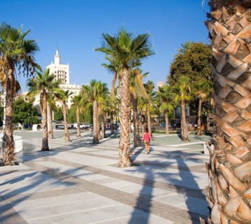 Palm trees cast shadows in new port development Muelle Uno in Malaga, Spain, Europe