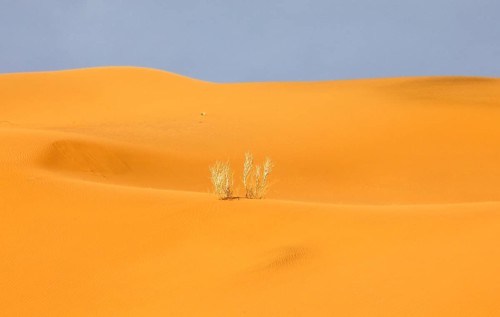 Mesr Desert in Iran. The Mesr Desert is part of the central Dashte-Kavir desert, 12.03.2019