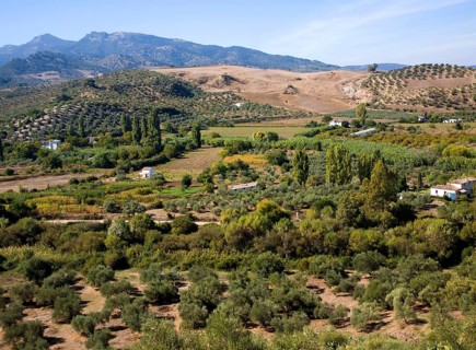 Fertile green valley farmland near Zahara de la Sierra, Cadiz province, Spain, Europe