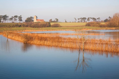 Coastal flooding leading to inundation of land not covered by flood water for 50 years, Ramsholt,