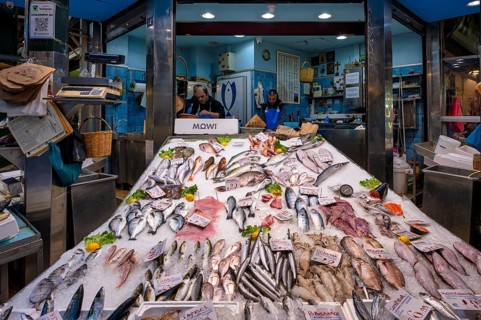 Trader, fishmonger working in his market stall, display of fresh fish and seafood on ice, Food,