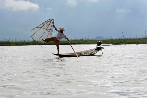 Intha fisherman, local man fishing with traditional conical fishing net, Inle Lake, Burma, Myanmar,