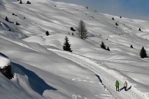 Hiking in a winter landscape in the Beverin nature park Park, Graubuenden, Switzerland, Europe