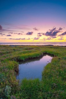 Small pond in the polder area on the North Sea, portrait format, evening light, sunset, Dorum,