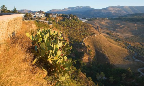 Historic buildings perched on sheer cliff top in Ronda, Spain, Europe