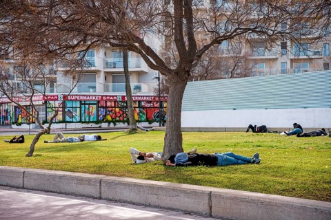 Lunch break on the lawn, Cala Minor, Majorca, Spain, Europe