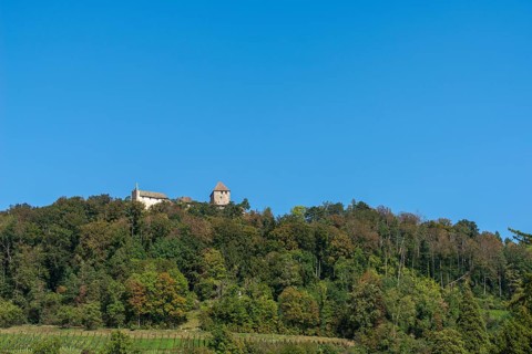 Stein am Rhein, Hohenklingen Castle, mountain, vineyard slope, blue sky, Canton Schaffhausen,