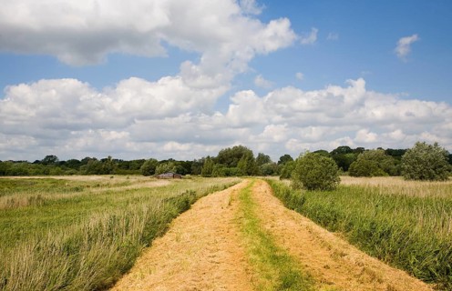 Riverside path Castle mill and marshes in the River Waveney flood plain, near Barnby, Suffolk,