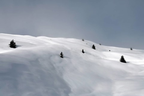 Winter landscape in the Beverin nature park Park, Graubuenden, Switzerland, Europe