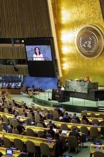 Plenary session of the United Nations General Assembly on 'AeRThe situation in the temporarily
