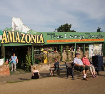 Amazonia rainforest jungle attraction Great Yarmouth, Norfolk, England, United Kingdom, Europe