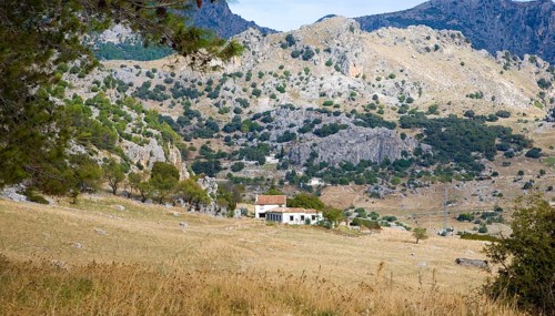 Landscape in Sierra de Grazalema natural park, Cadiz province, Spain, Europe