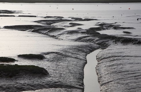 Winter overcast landscape of the River Deben at low tide in late afternoon, Ramsholt, Suffolk,