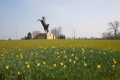 The Newmarket stallion sculpture by Marcia Astor and Allan Sly 2000 near the National Stud,