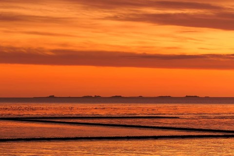 Langeness, Langeness, small Hallig island in the Wadden Sea National Park in Nordfriesland, North