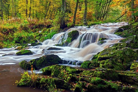 Waterfall near Alexisbad on the Selke river in nature reserve Obere Selketal in autumn, Harz