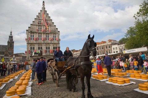 Gouda and cheese market, South Holland, Netherlands