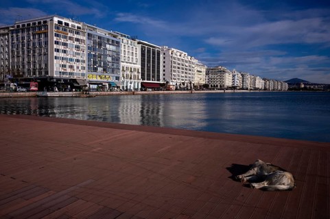 Old harbour, view of promenade, skyline of Thessaloniki, stray dog lying on promenade, Macedonia,