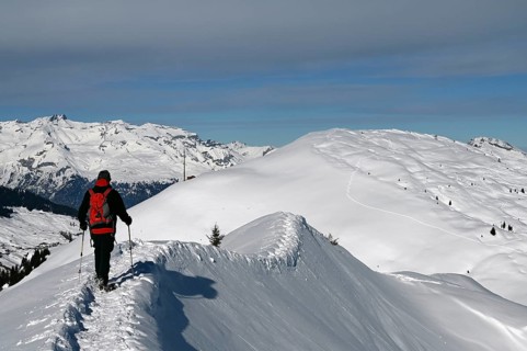 Snowshoe hiking in the Beverin nature park Park, Graubuenden, Switzerland, Europe
