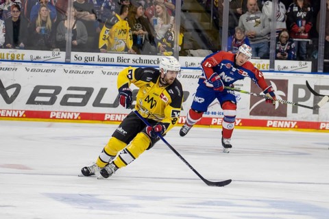 23.02.2024, DEL, German Ice Hockey League, 48th matchday) : Adler Mannheim (yellow jerseys) against