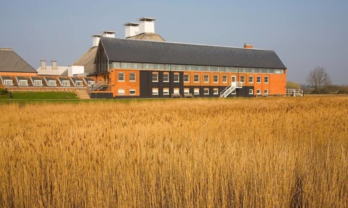 Concert hall seen over reeds at Snape Maltings. Suffolk, England, United Kingdom, Europe