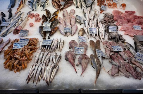 Display of fresh fish and seafood on ice, fishmonger, food, Kapani Market, Vlali, Thessaloniki,