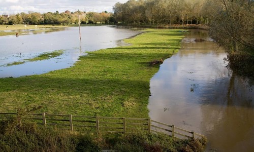 River Deben flooding showing standing water and bankfull conditions, Wickham Market, Suffolk,