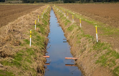 Newly renovated repaired drainage ditch Hollesley, Suffolk, England, United Kingdom, Europe