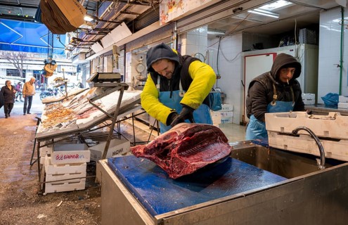 Fishmonger cutting up tuna in front of his market stall, display of fresh fish and seafood on ice,