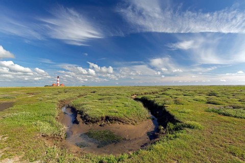 Saltmarsh and lighthouse Westerheversand at Westerhever in summer, Peninsula of Eiderstedt, Wadden