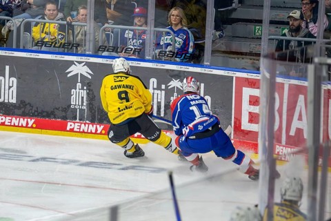 23.02.2024, DEL, German Ice Hockey League, 48th matchday) : Adler Mannheim (yellow jerseys) against