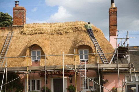 A thatcher completing the re-thatching of a traditional country pub, the Sorrel Horse, Shottisham,