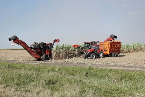 Sugar cane harvest with tractor and machine, near Santiago de Cuba, Cuba, Central America