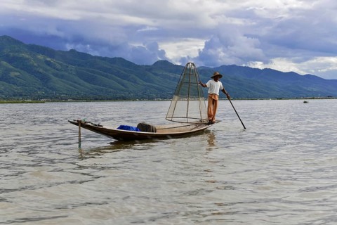Intha fisherman, local man fishing with traditional conical fishing net, Inle Lake, Burma, Myanmar,