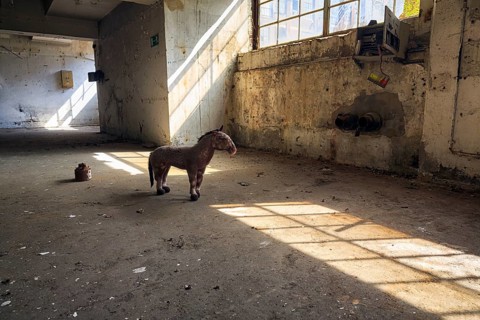 Single plush toy in an empty dilapidated factory building, peeling paint, light falling through