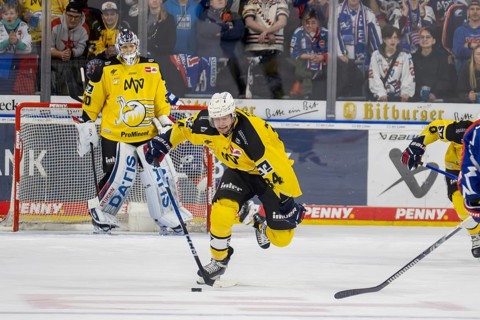 23.02.2024, DEL, German Ice Hockey League, 48th matchday) : Adler Mannheim (yellow jerseys) against