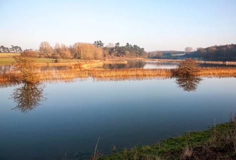 Coastal flooding leading to inundation of land not covered by flood water for 50 years, Ramsholt,