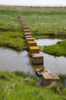 Concrete block tank traps from the second world war cross coastal marshes at Alderton, Suffolk,