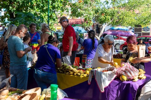 People at the busy market Mercado Organico in Santa Cruz, Pochutla, Baja de Huatulco, South Pacific