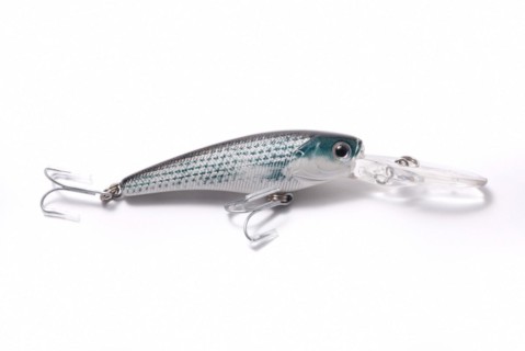 Fishing Lure