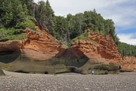 Wooded cliffs, red sandstone, Five Islands Provincial Park, Fundy Bay, Nova Scotia, Canada, North