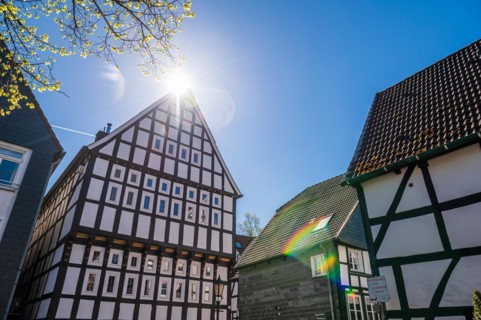 Sun-kissed half-timbered house with blossoming tree branches in the foreground, old town centre,