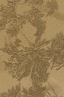 Sandworms form patterns on the beach of Khao Lak, beach, pattern, texture, art, nature art, sea,