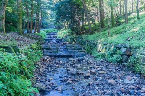 Shallow man made stream through recreational forest on sunny summer morning in South Korea