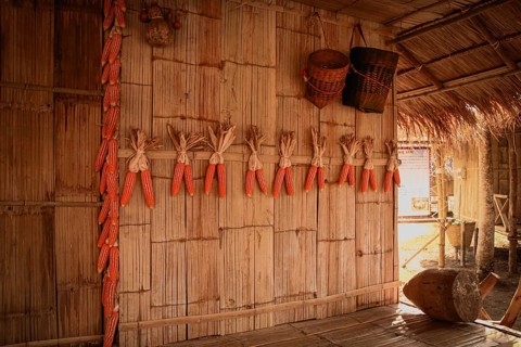 Yellow corns hung to dry in a traditional indigenous house from the Lu Tribe in Chiang mai Thailand
