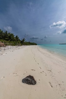 White sand beach, Parli 1 island, Lakshadweep archipelago, Union territory of India